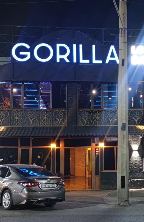 Gorilla